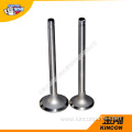 Engine Valves WD615E3